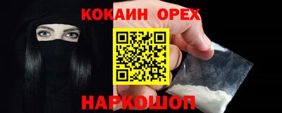 гашик Будённовск