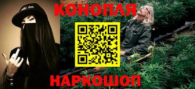 гашик Будённовск