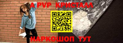 гашик Будённовск