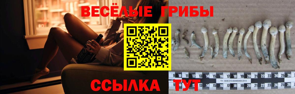Нефтеюганск  Галлюциногенные грибы ЛСД  Вход с VPN 