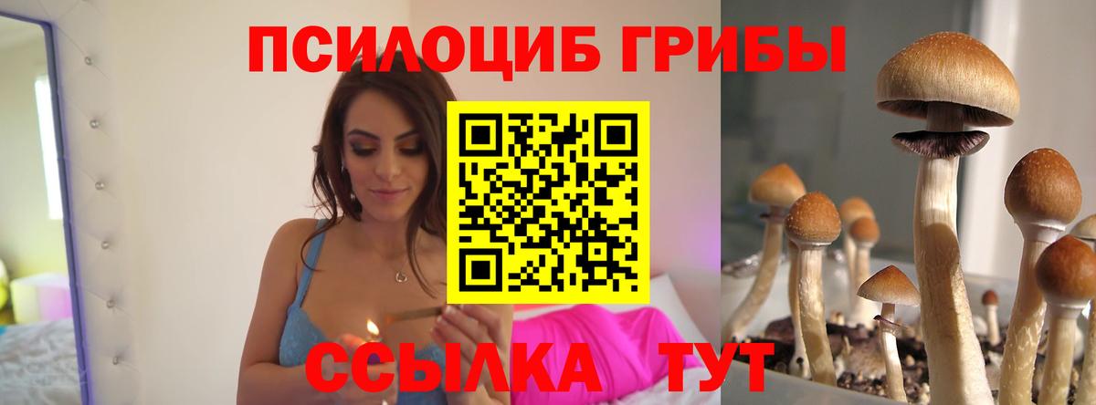 Псилоцибиновые грибы Psilocybine cubensis Нефтеюганск